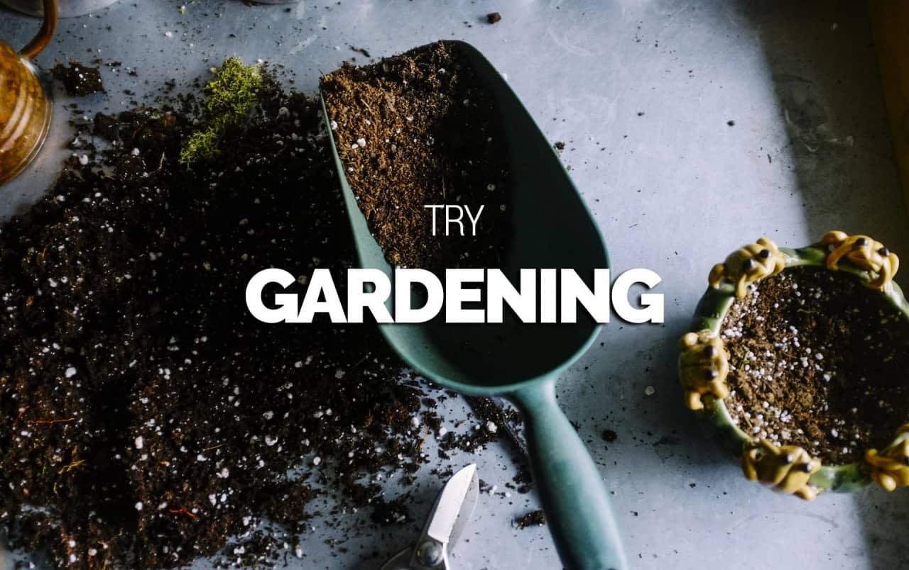Try-Gardening-1280x853.jpg