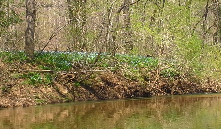 20150412_140728.jpg