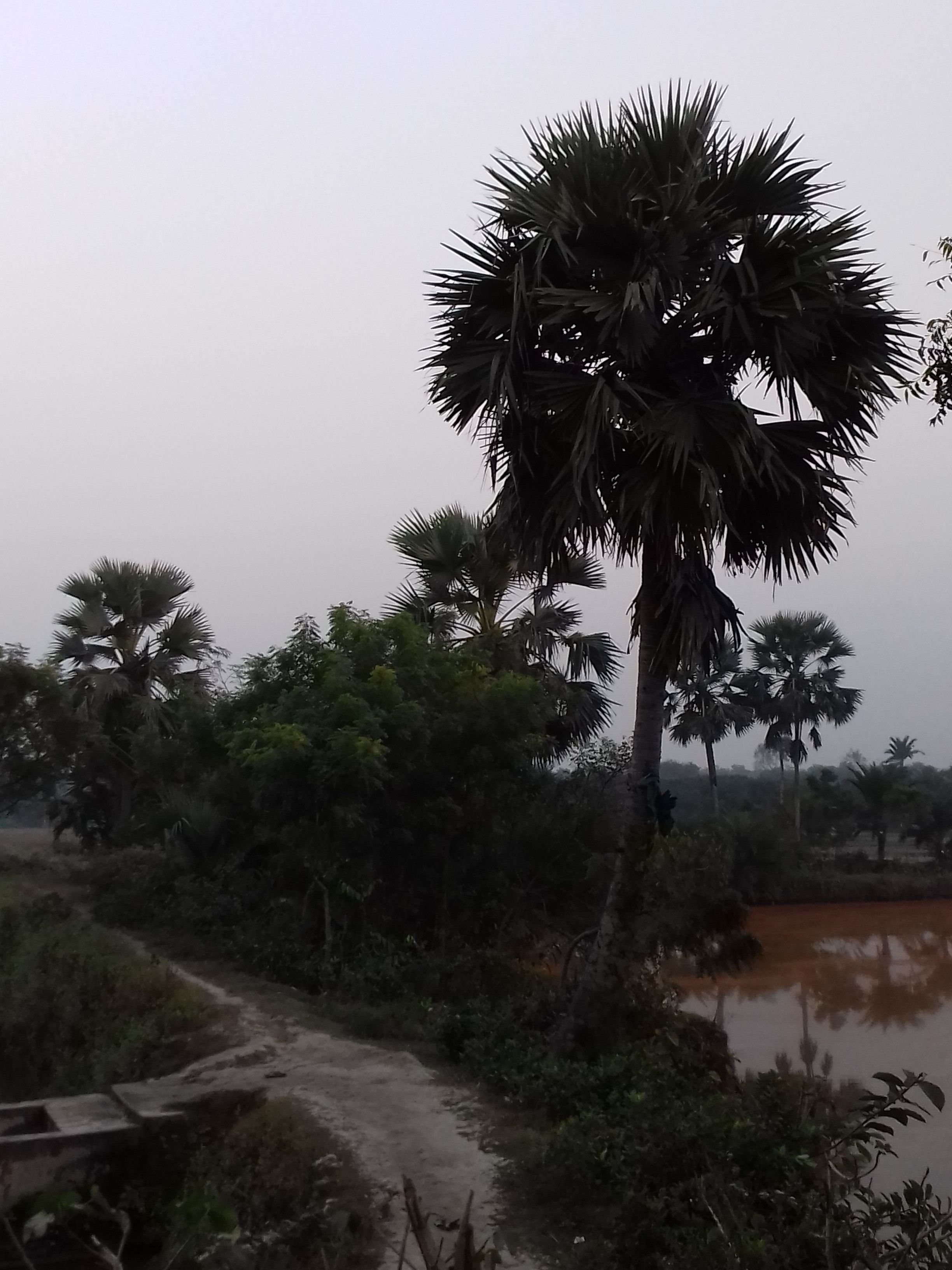 20180118_173709.jpg