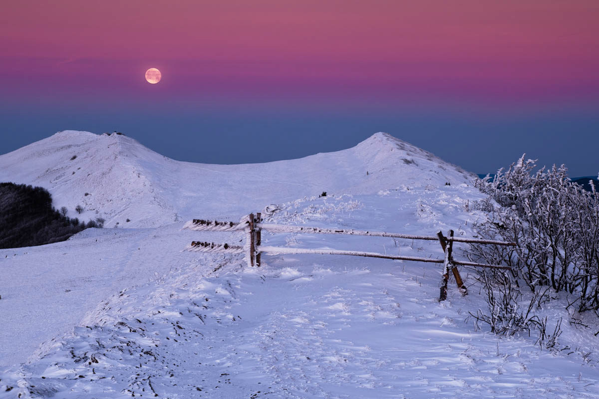 DSC9881-1200x800 4.jpg