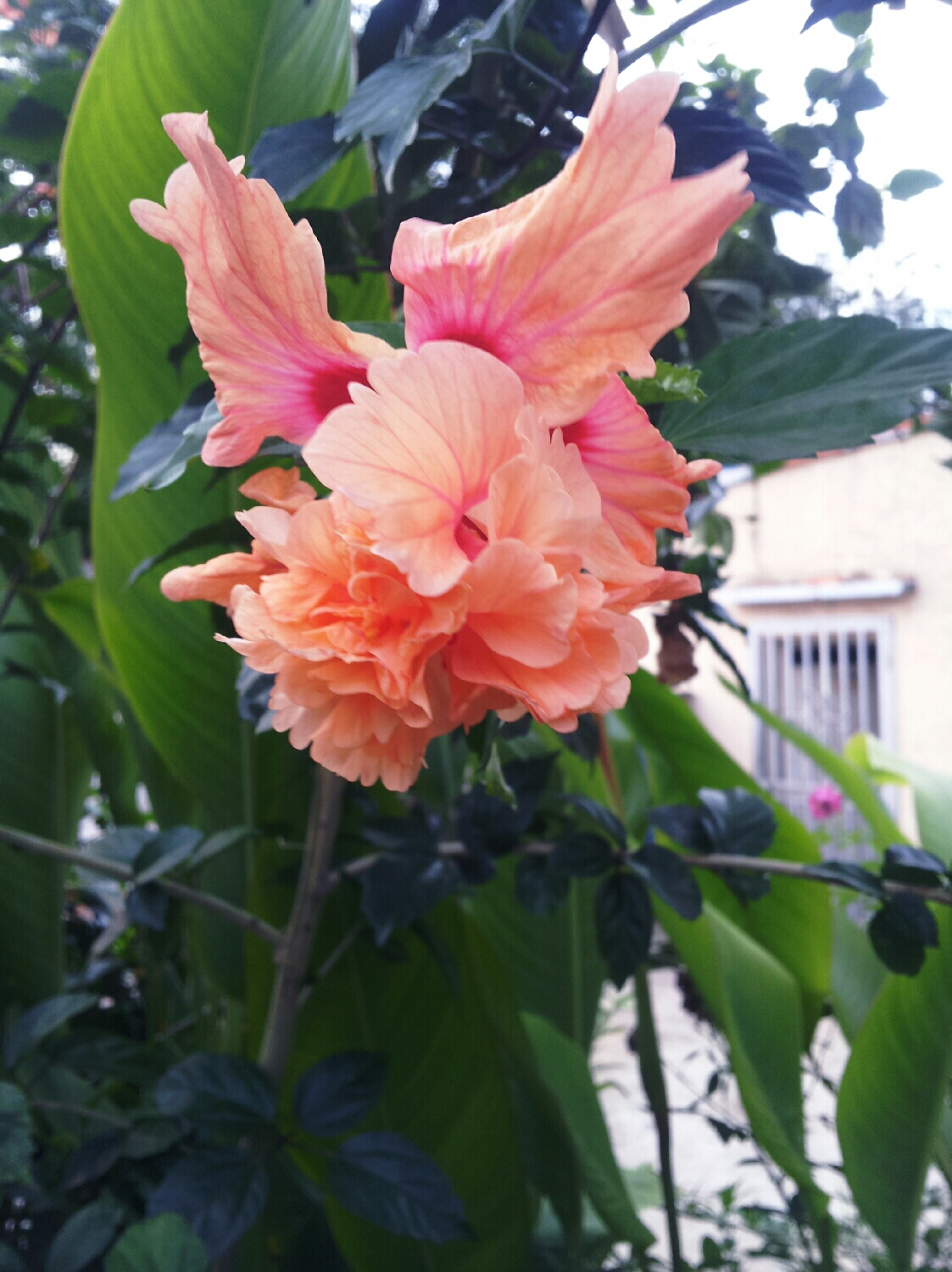 Image-20180515_125657.jpg