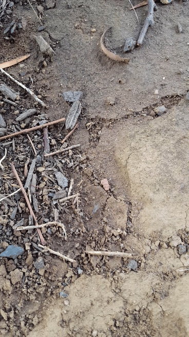 20180324_175202_1.gif