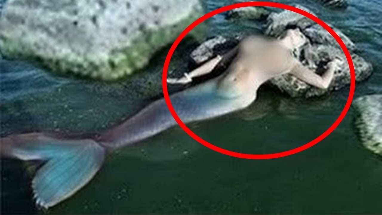 real jalpari mermaid latest