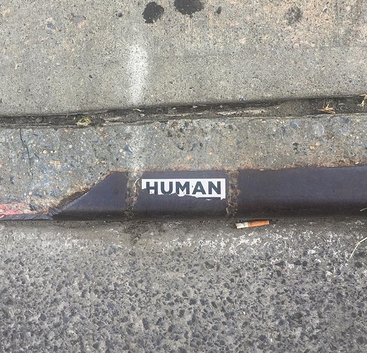 Human.PNG