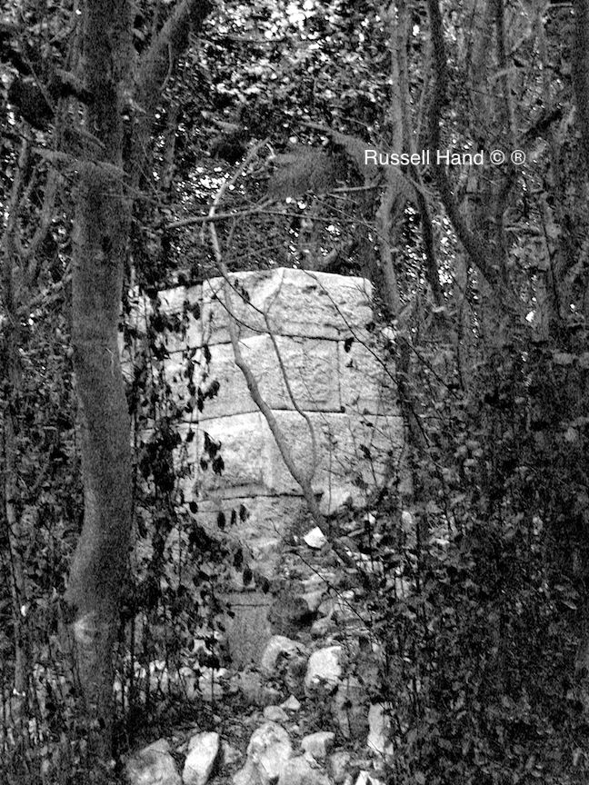 Ruins tangled in the forest; Olympos.jpg