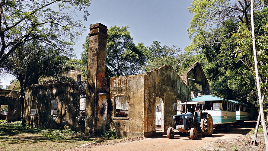 Ruins of the entrance of the island of Cotijuba