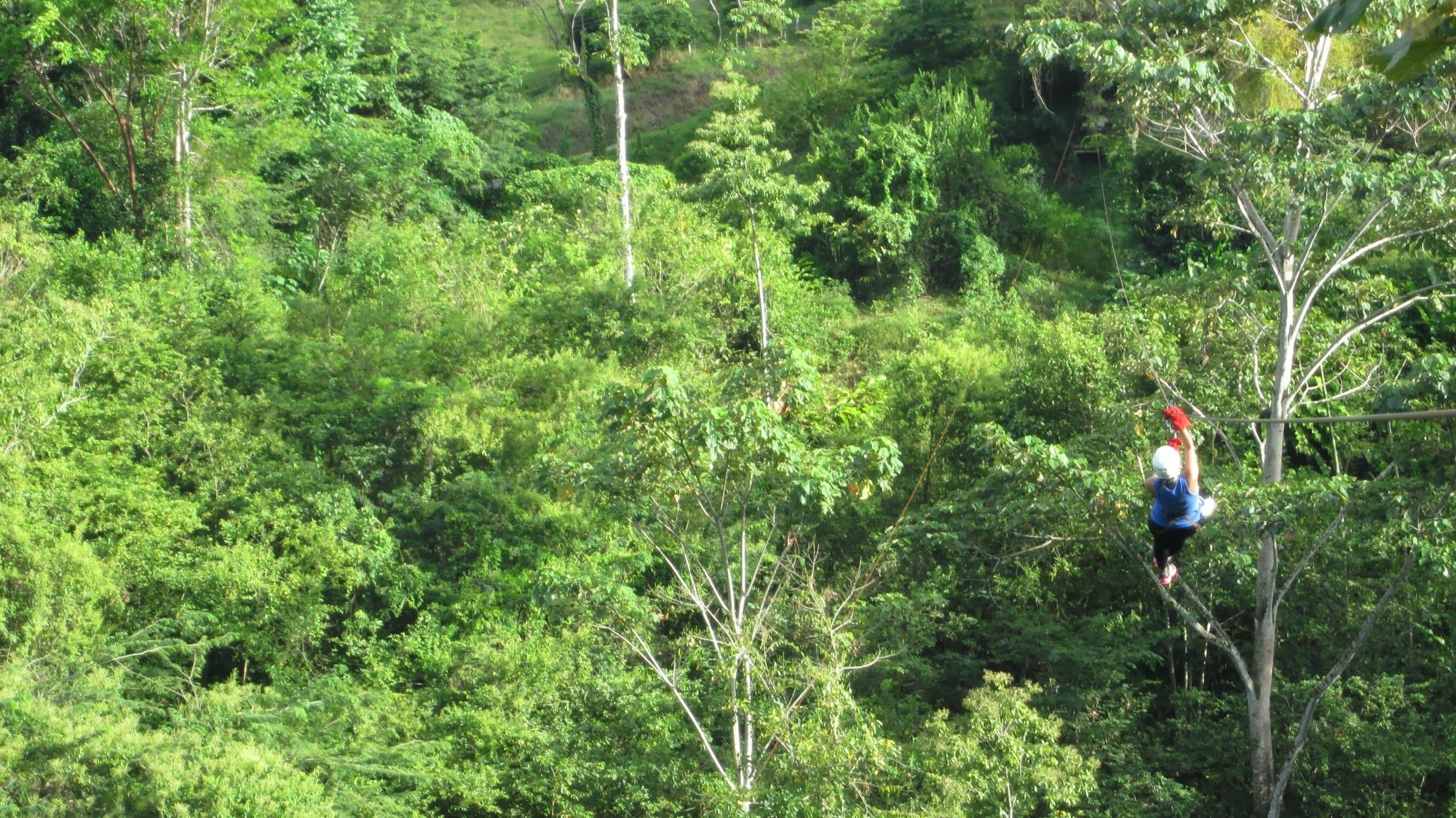 Zip-Lining-Anabell-Hilarski.jpg