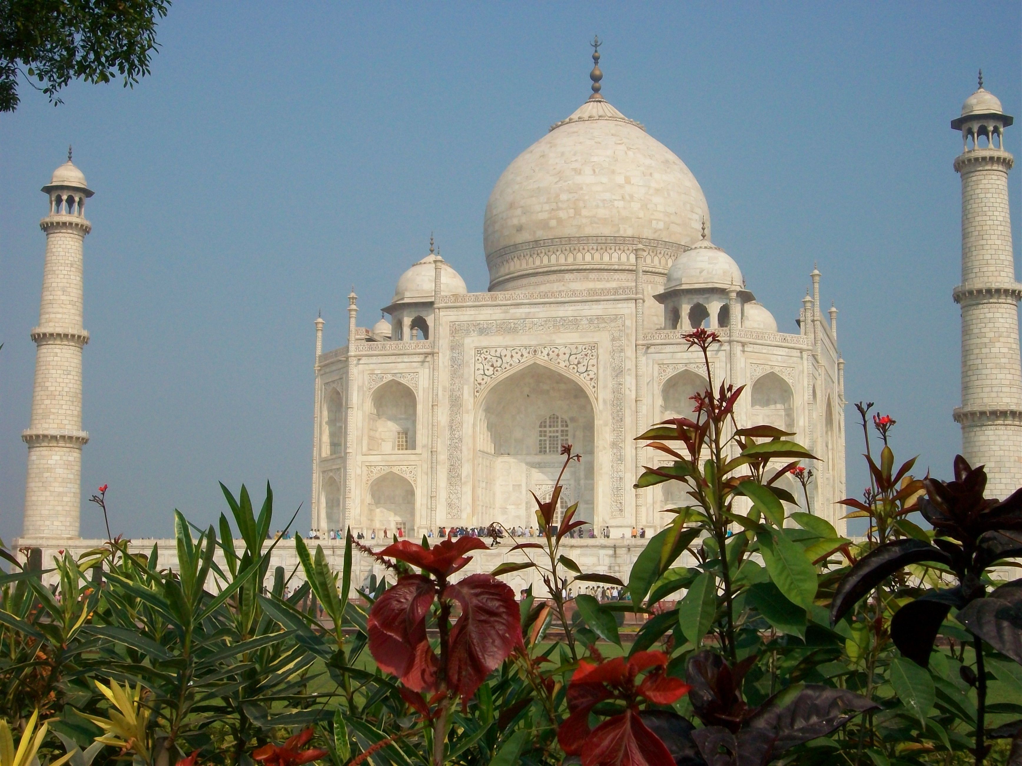 100_0105taj.jpg