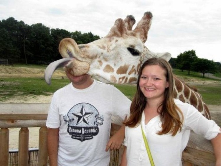 Funny-Animal-Photobombs-10.jpg