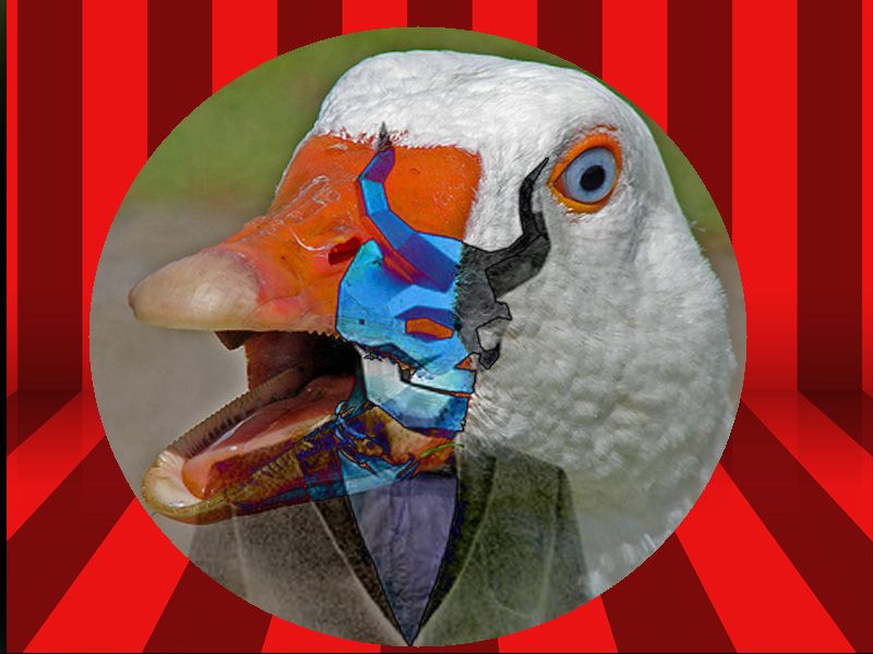13 goose demon.jpg