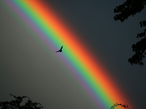 arcoiris (1).jpg