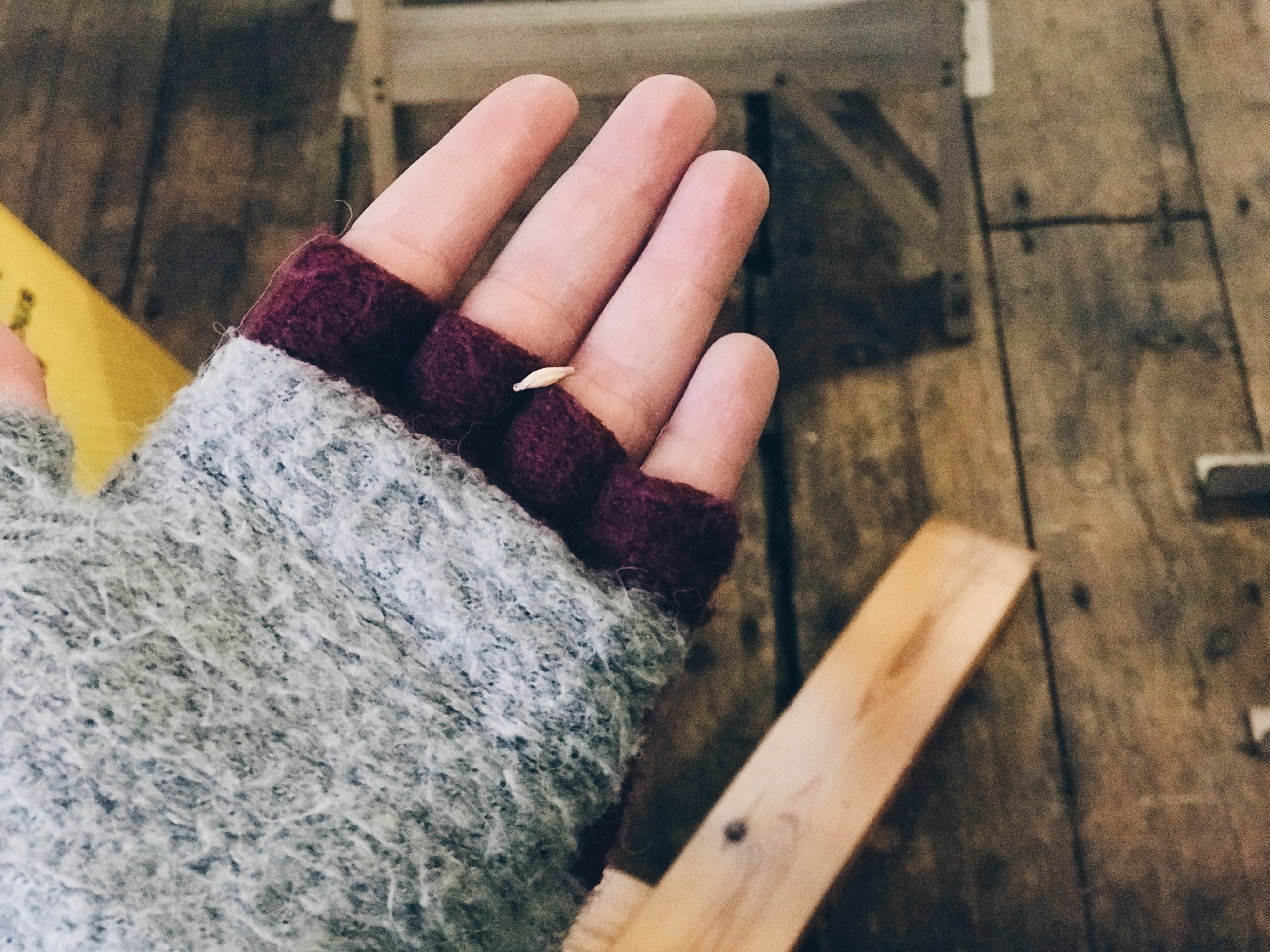 hops-inhand2