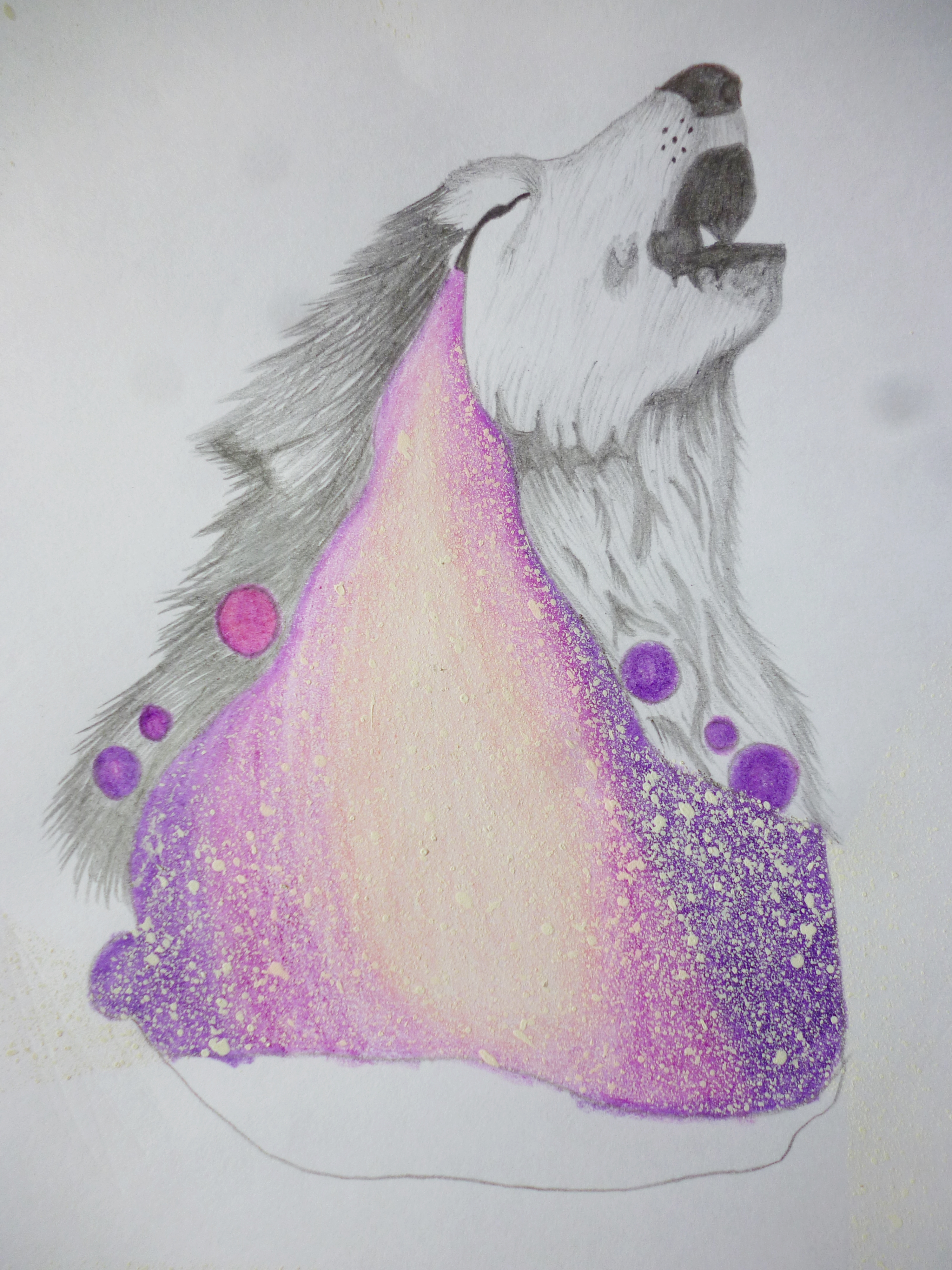 How To Draw And Colour A Wolf