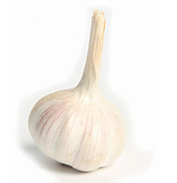 garlic.jpg