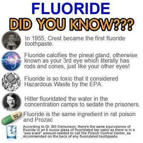 flouride facts.jog.jpg