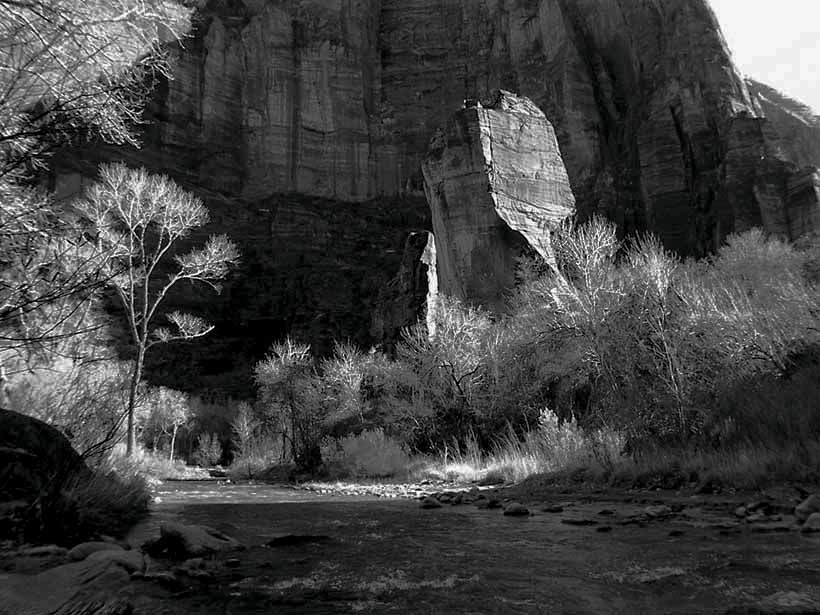 Zion 1198bw.jpg