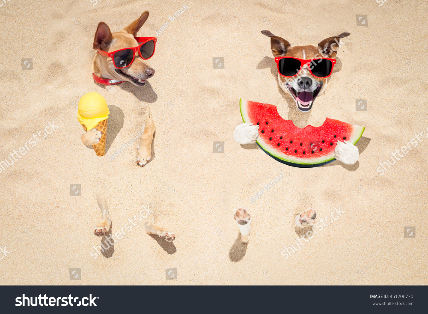 stock-photo-funny-couple-of-dogs-buried-in-the-sand-at-the-beach-on-summer-vacation-holidays-wearing-red-451206730.jpg