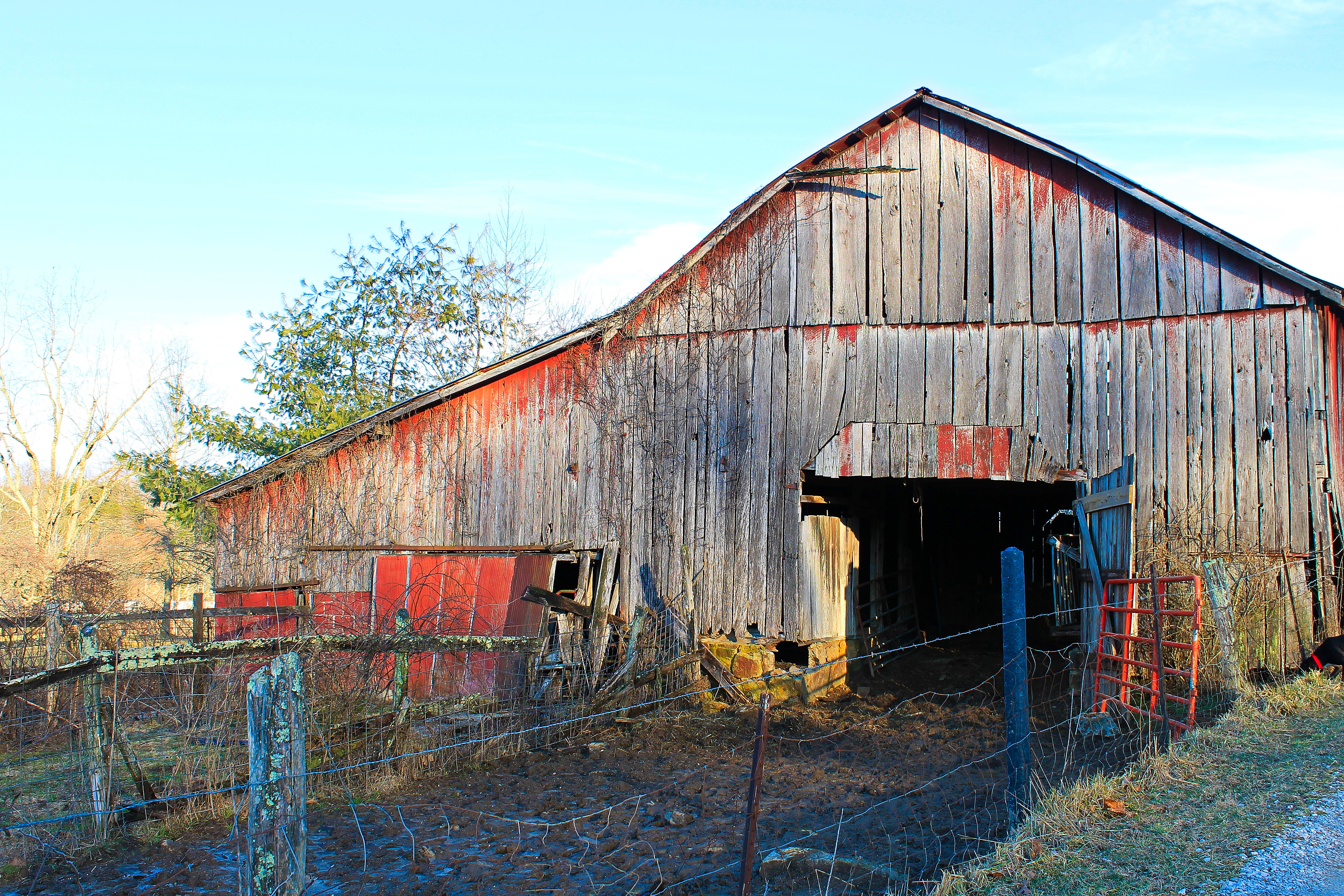 Cattle Barn.jpg