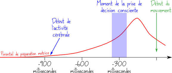 expecc81rience-de-libet1.png