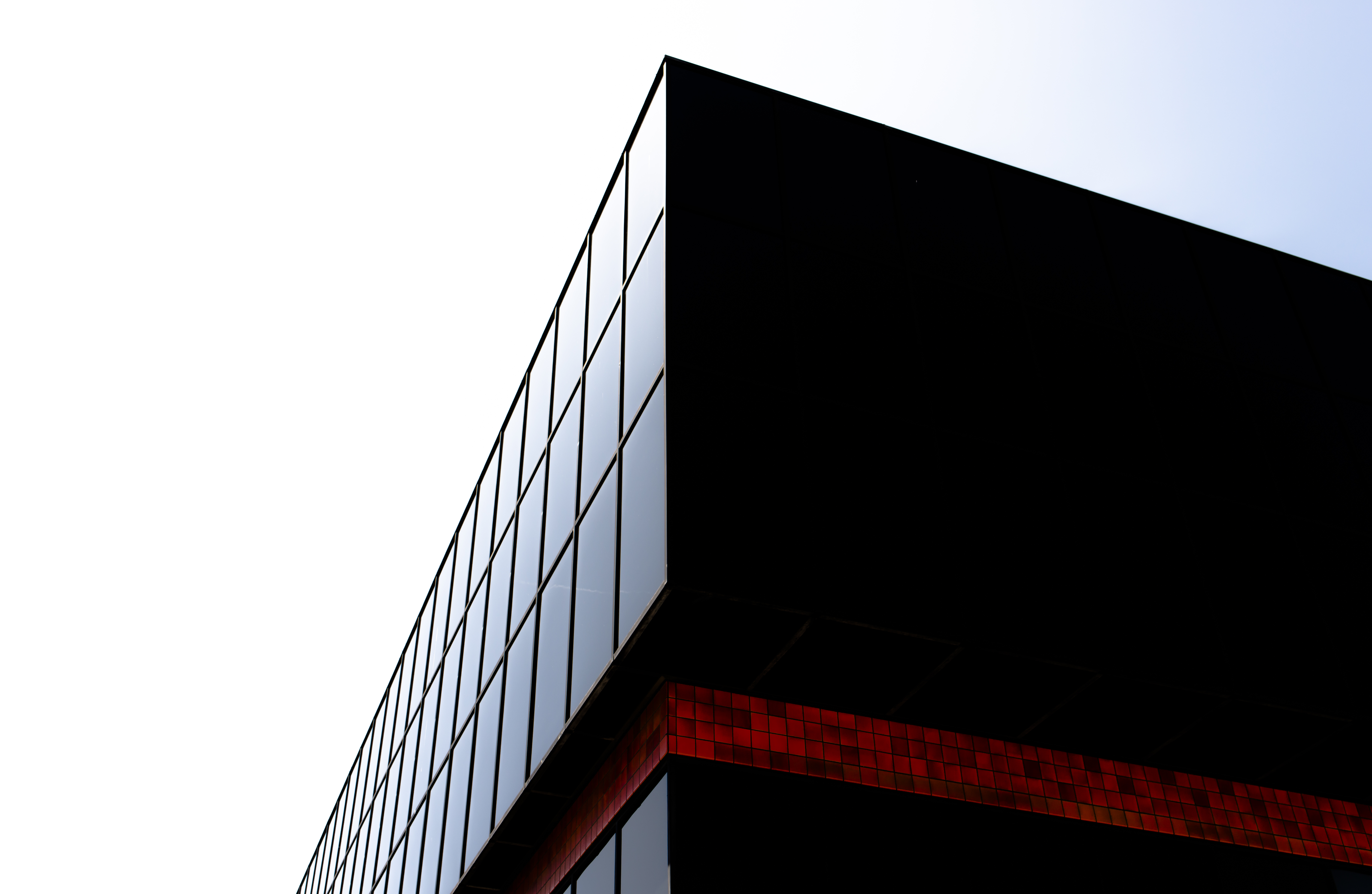 DSC_9546.jpg