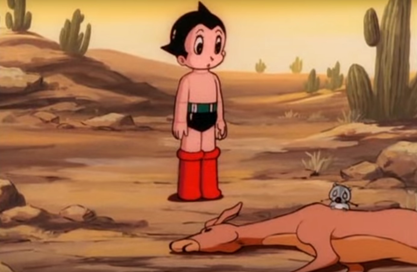 desert trip.jpg