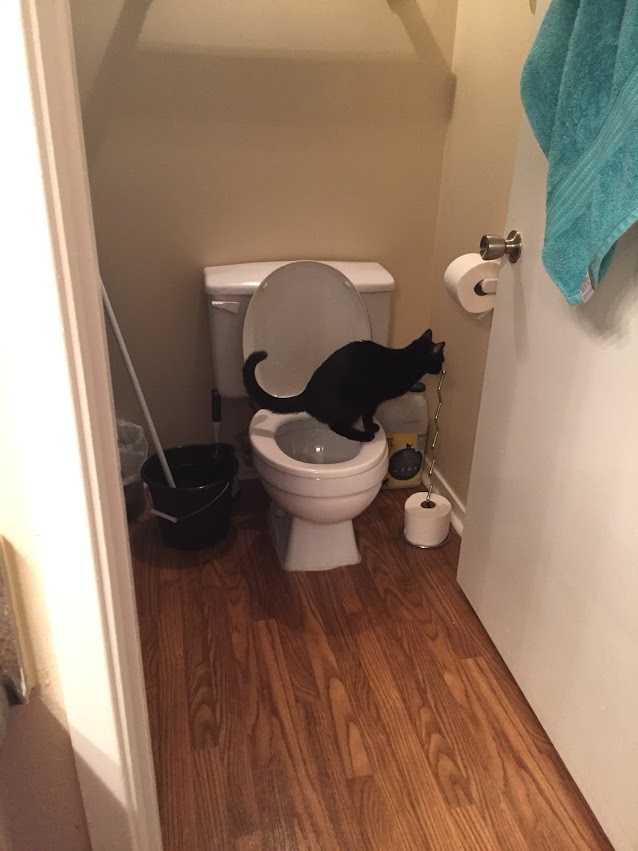 Nidalee toilet.JPG