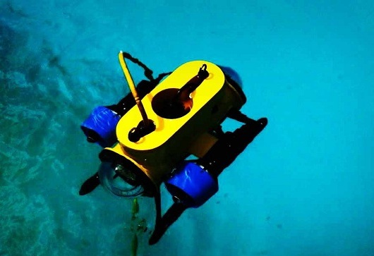 Observation Mini ROV.jpg