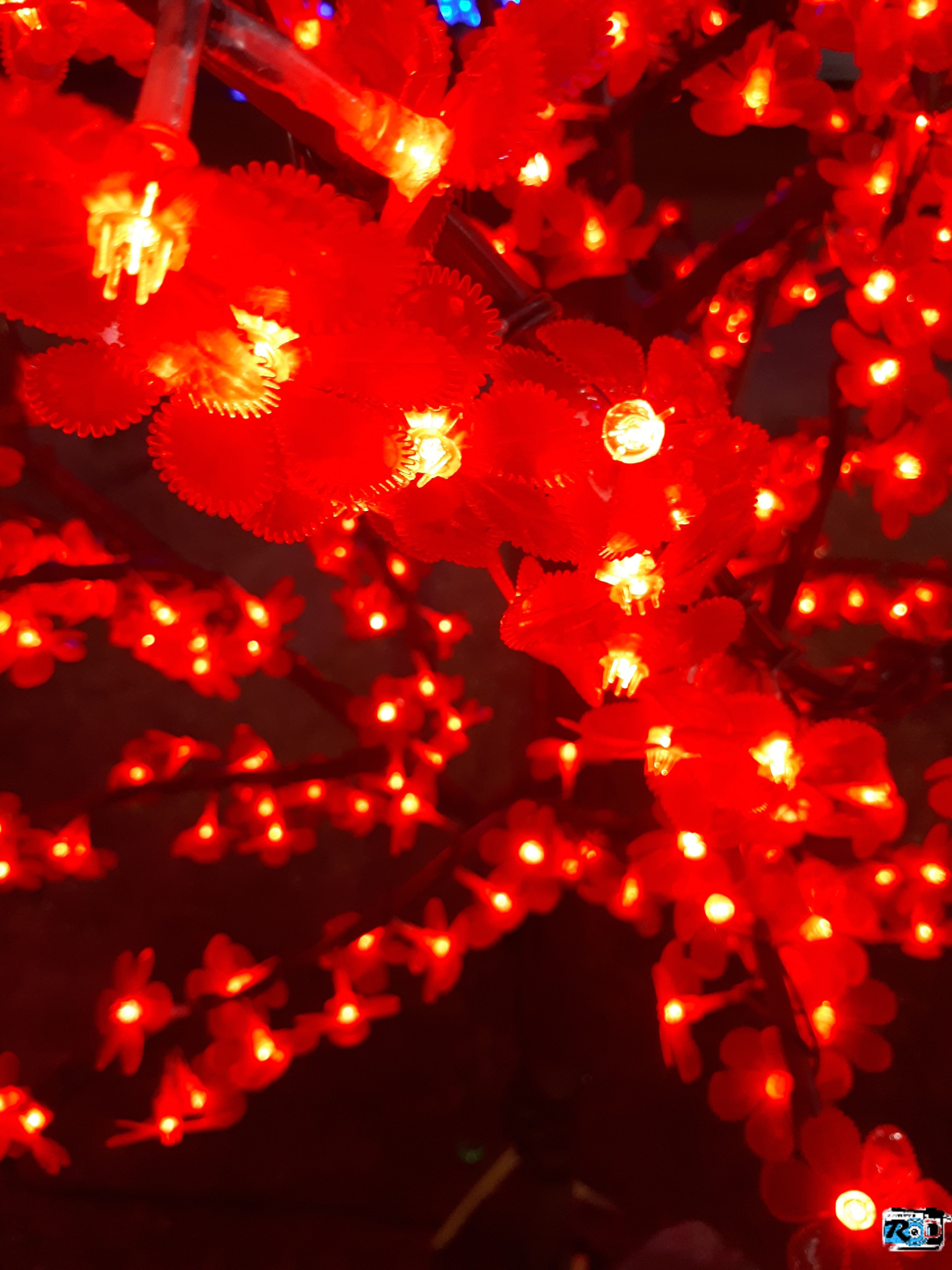 20171220_210812.jpg