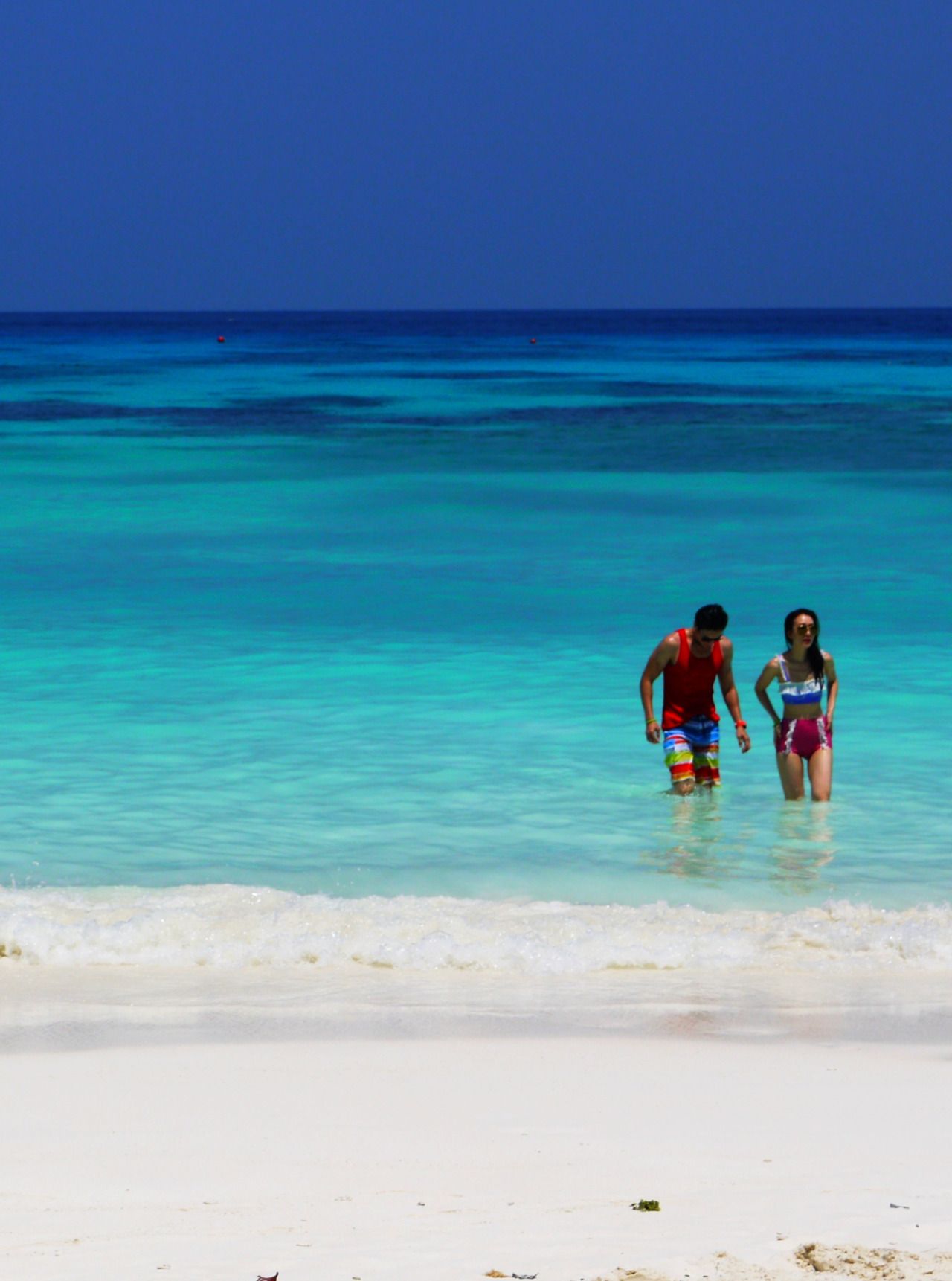 80684876150 - desert island coral reef_2.jpg