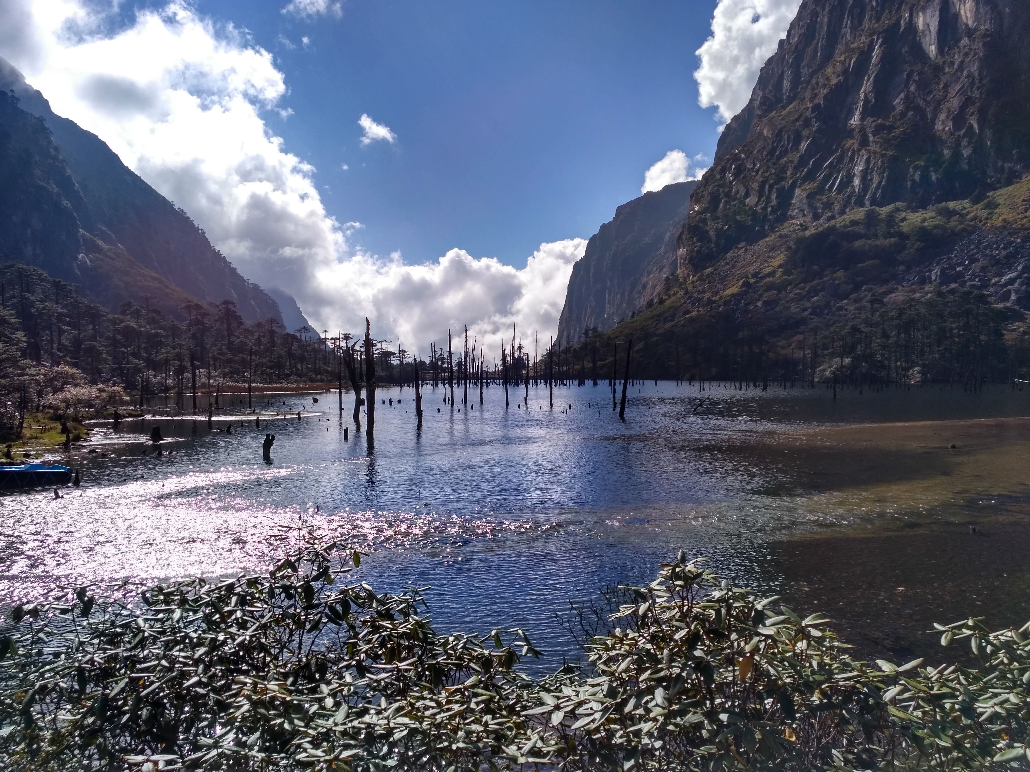 IMG_20171015_140547_HDR.jpg