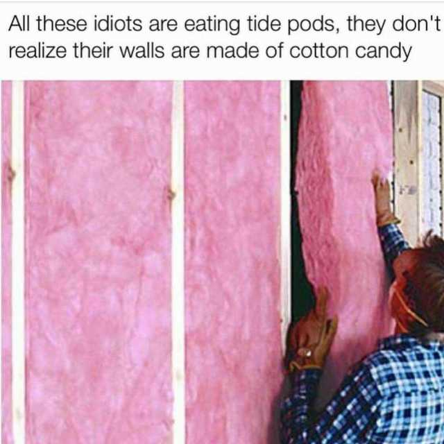 all-these-idiots-are-eating-tide-pods-they-dont-realize-their-walls-are-made-of-cotton-candy-NMjby.jpg