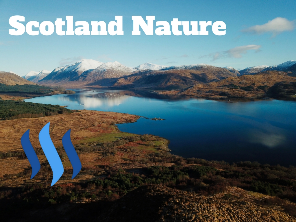 Scotland Nature.jpg