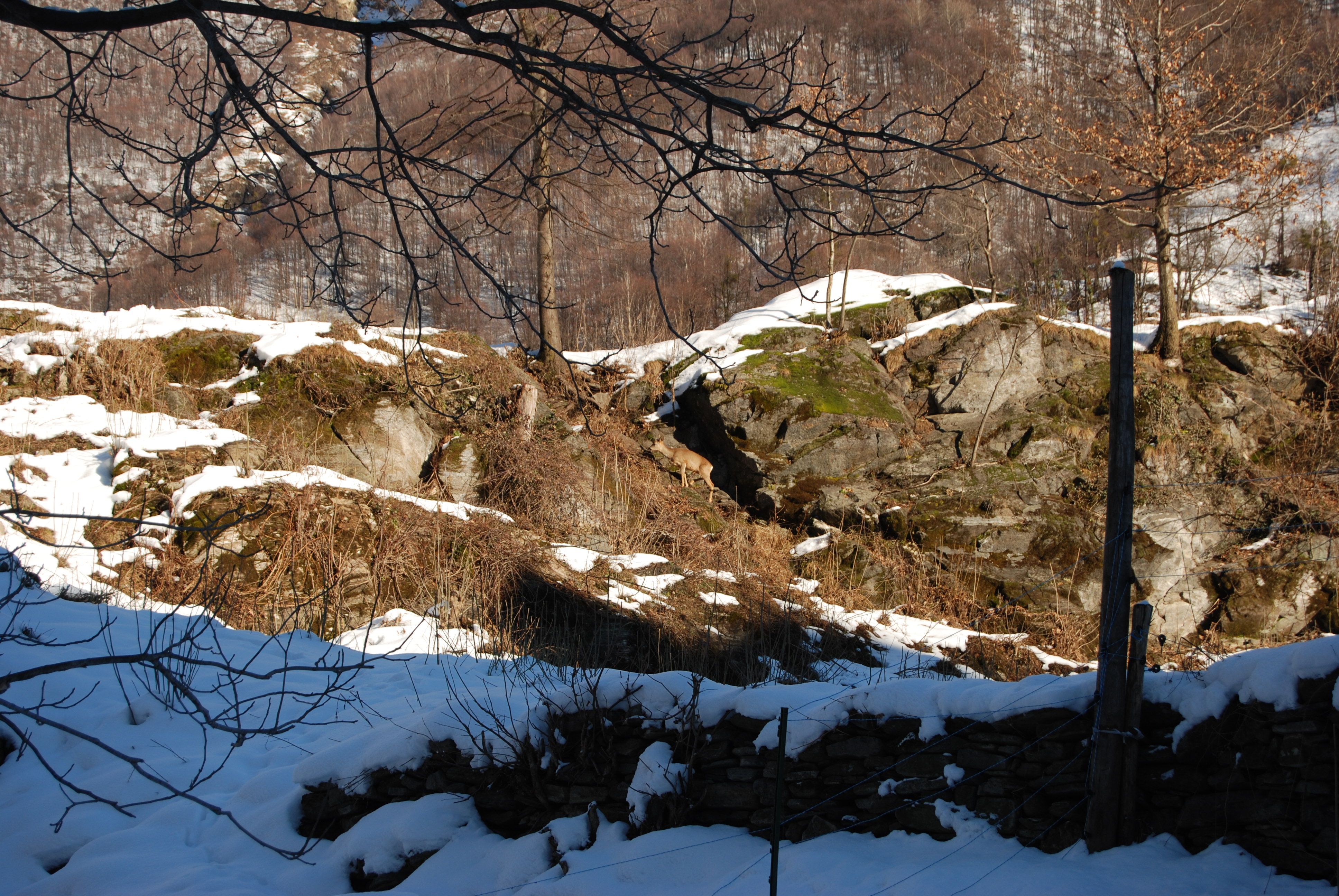 Lugano January 2009 007.JPG