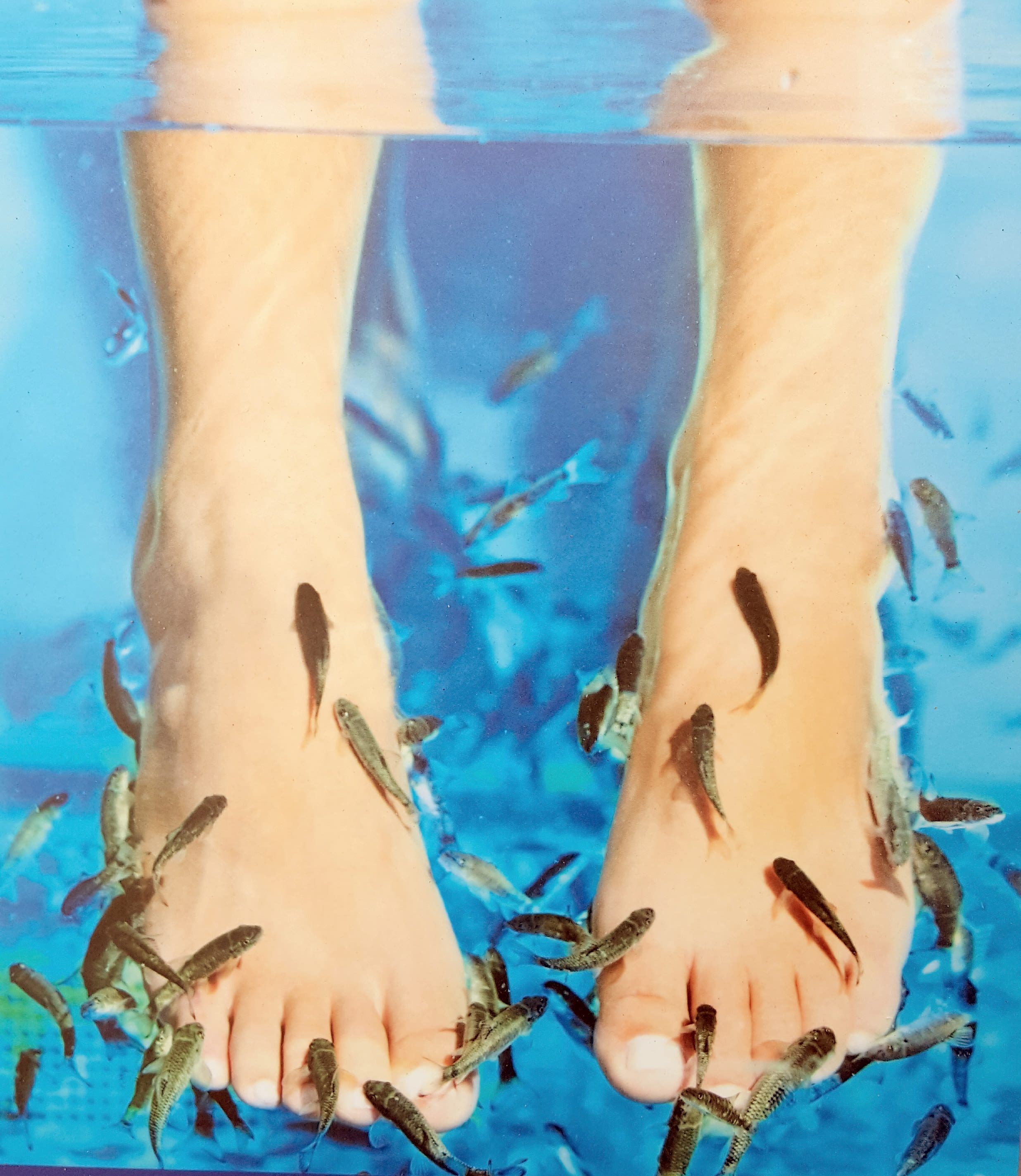 Before And After Fish Pedicure