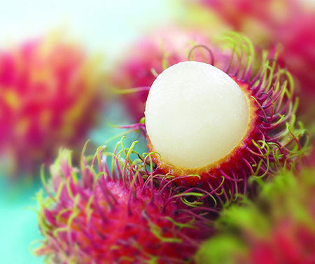 rambutan 3.jpg