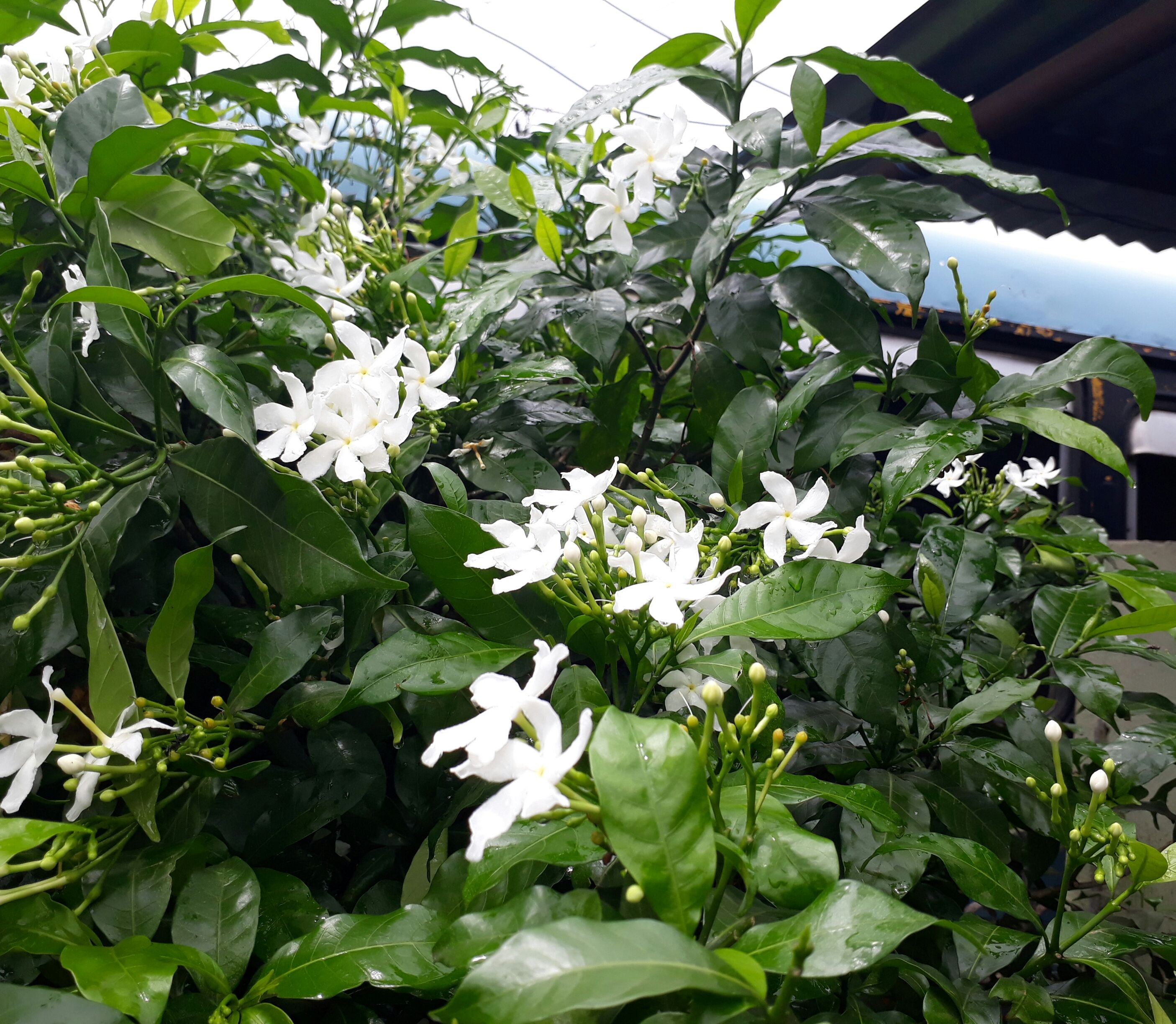 20170919_011349.jpg