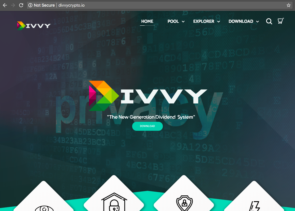 DIVVY Website screenshot