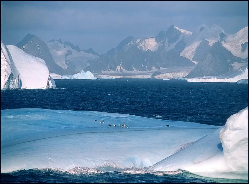 Antarctica_09.JPG