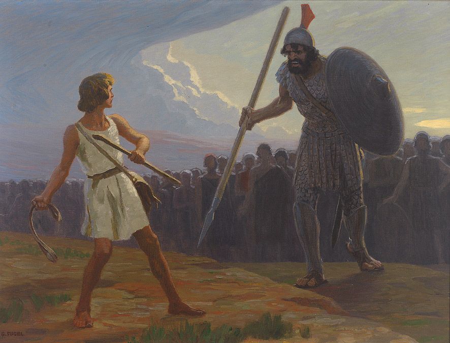 Fugel_David_gegen_Goliath.jpg