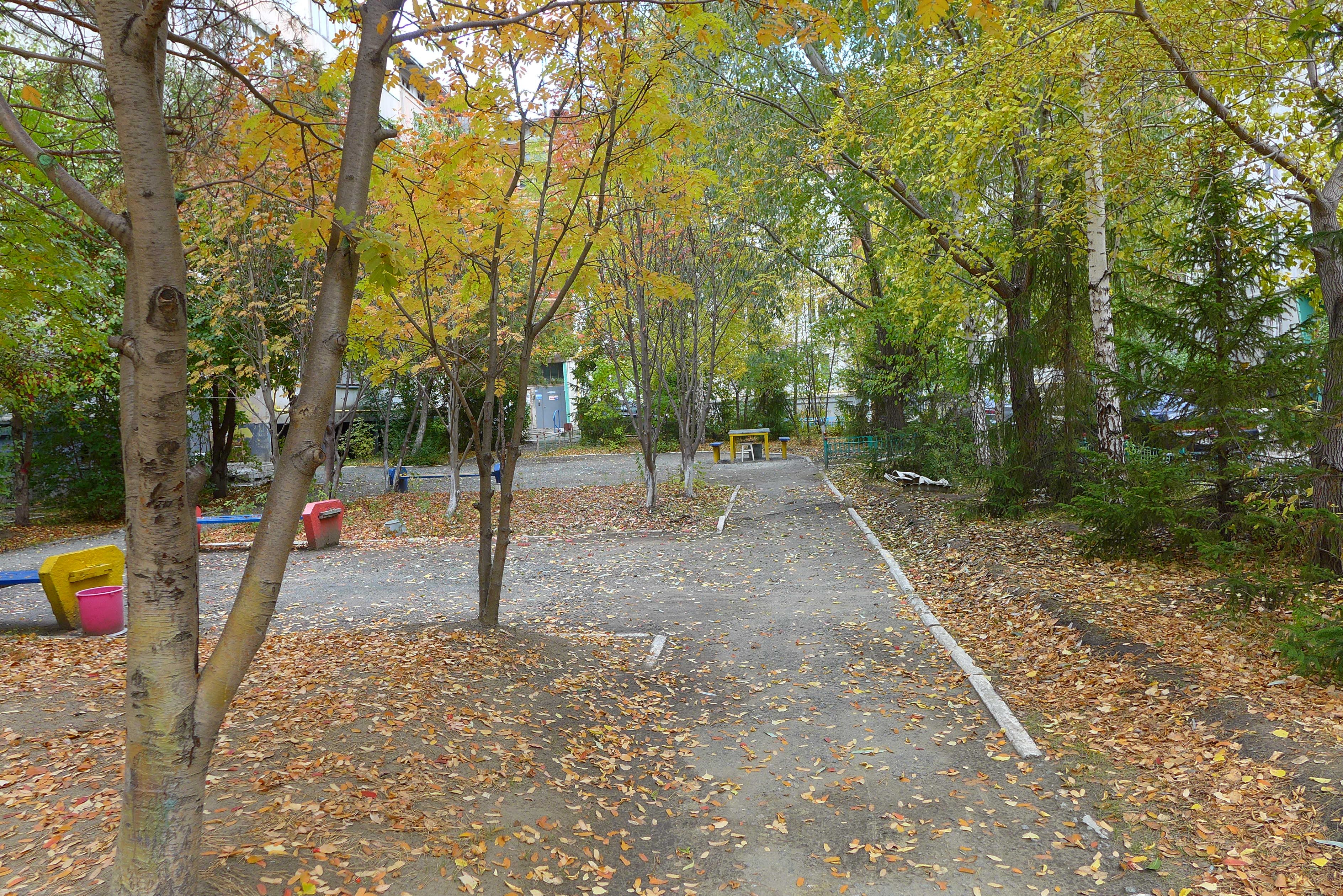 P1560928.JPG