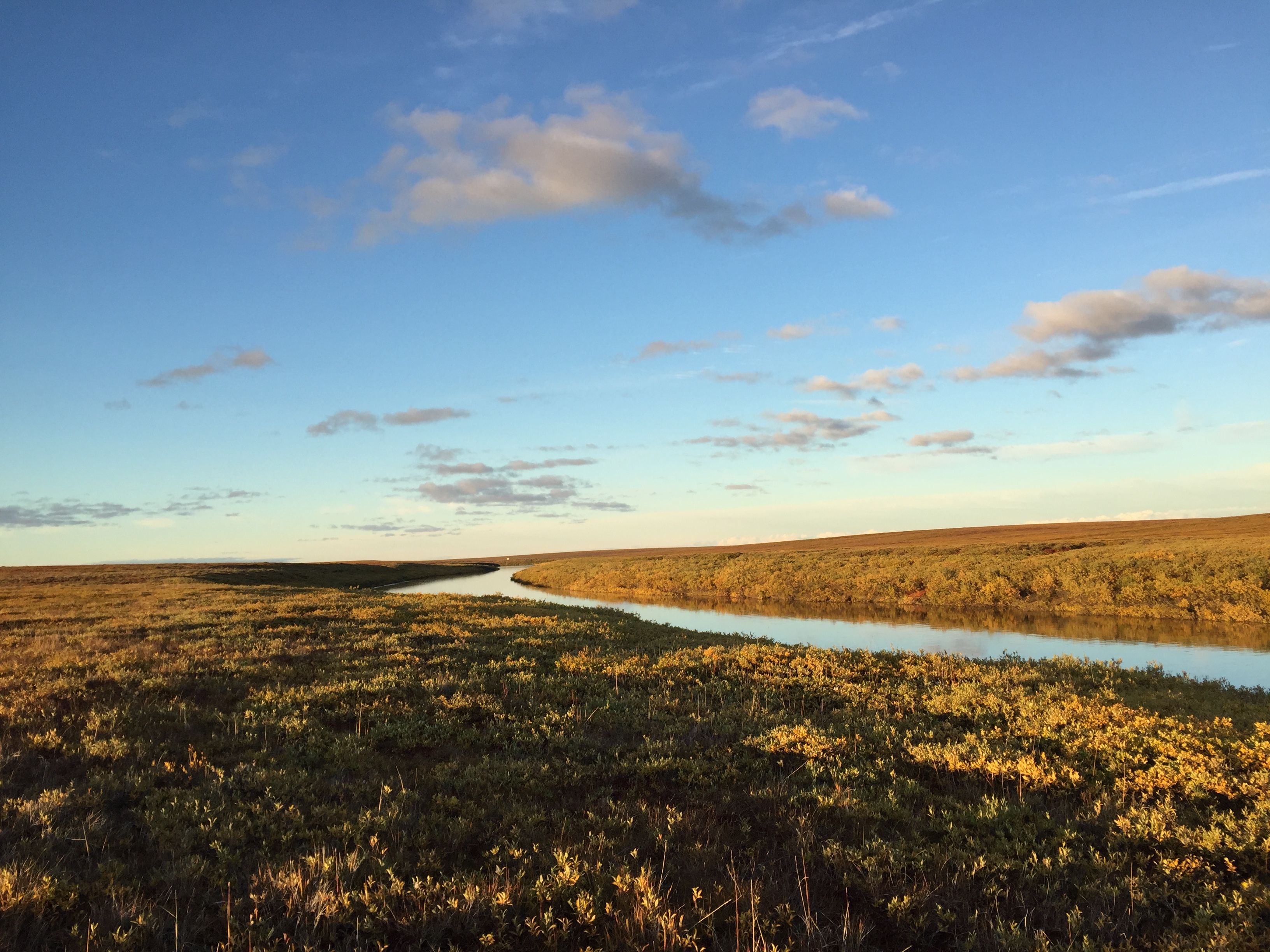 Uttukak River Area