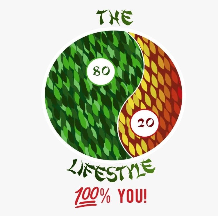 80:20 Life YOU 100%.png