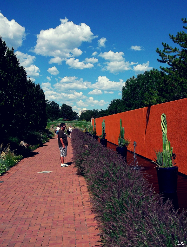 Denver botanic garden blue street bxlphabet.jpg