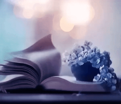 IMG_20180508_094849_41.gif