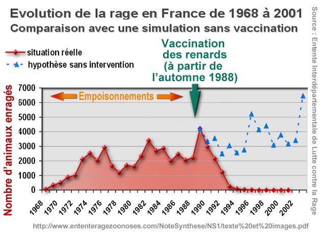 Rage_renards_empoisonnement_vaccination_1988.jpg