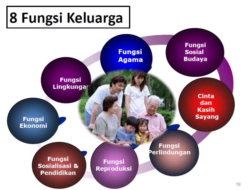  Fungsi Keluarga  Family Function  Steemit