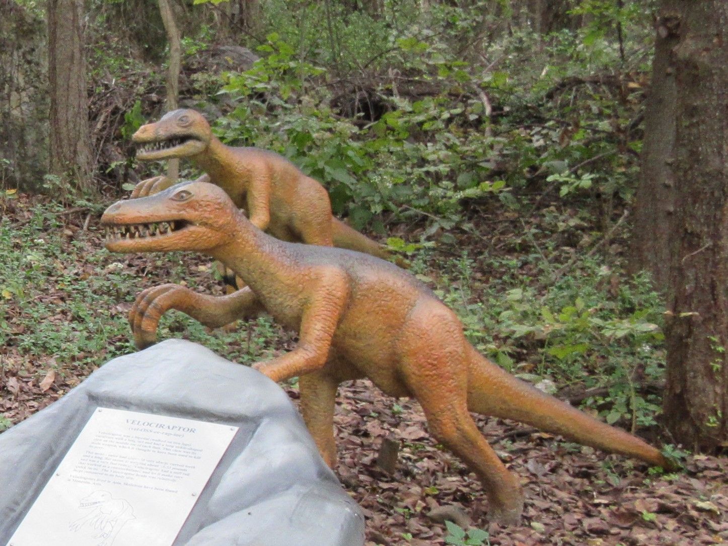 Velociraptors 1.jpg