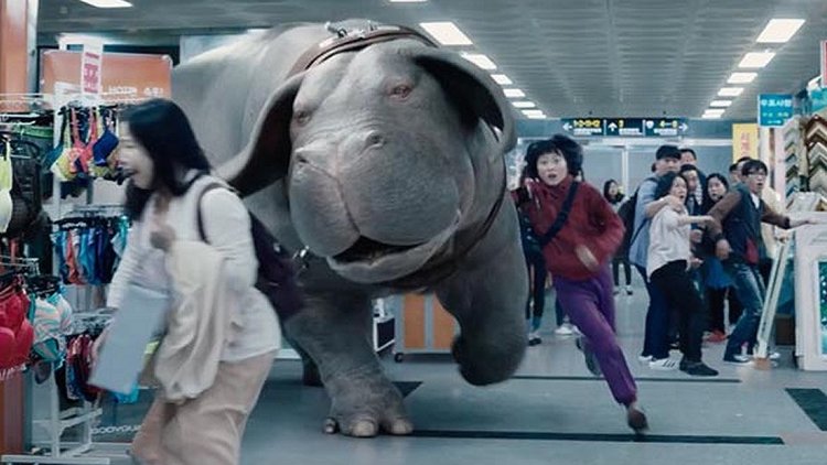 okja2.jpg