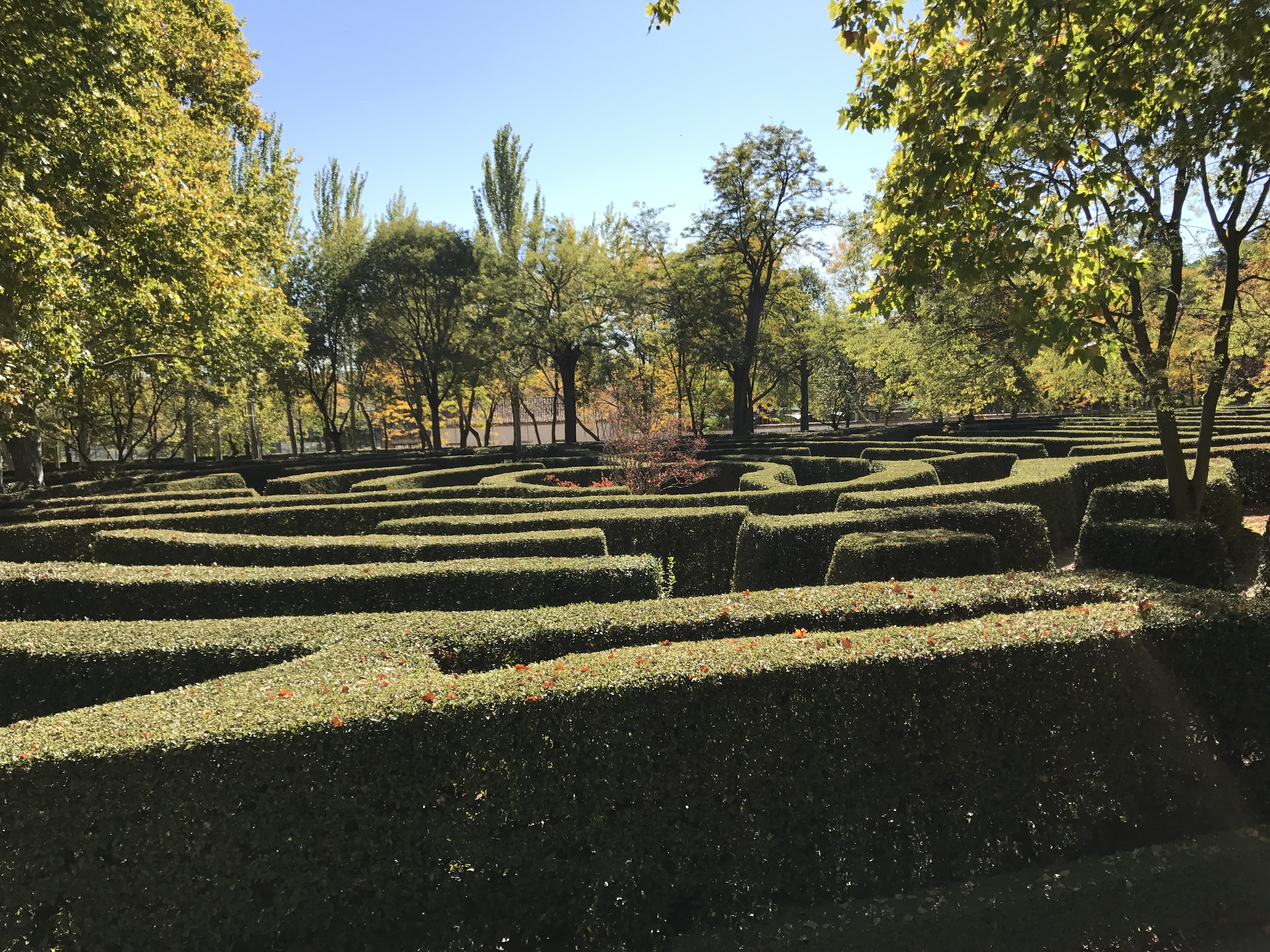 A Labyrinth In The City Capricho S Golden Park In Madrid Steemit