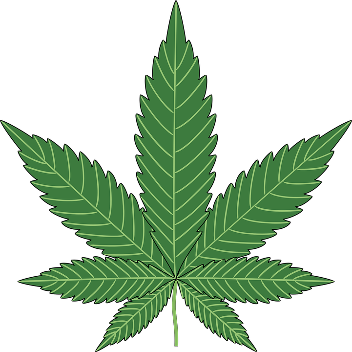 Marijuana-Pot-Plant-Baking-Leaf-Hemp-Cannabis-1293986.png
